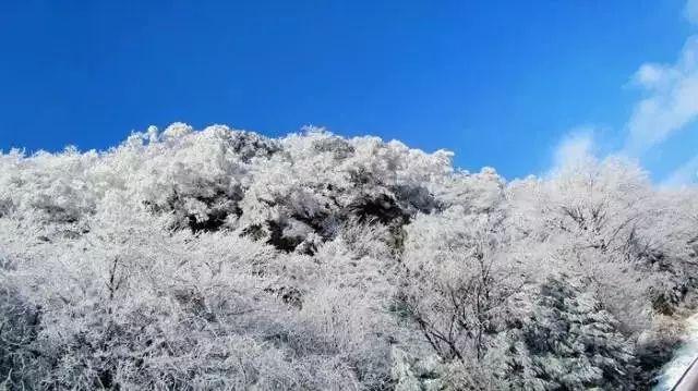 球球大作战下载最新版
